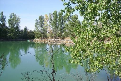 Gites De Madame Escazeaux Cameră foto